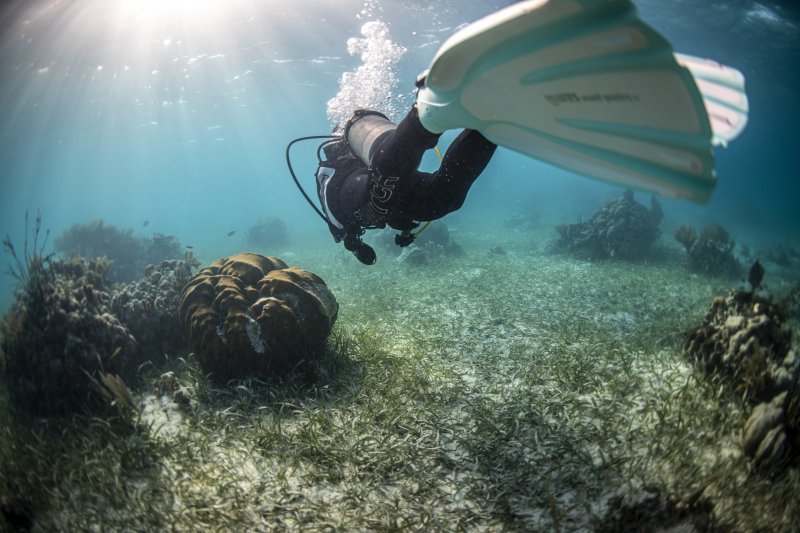 Solomon Islands Scuba Diving: Explore the Pacific’s Hidden Gem