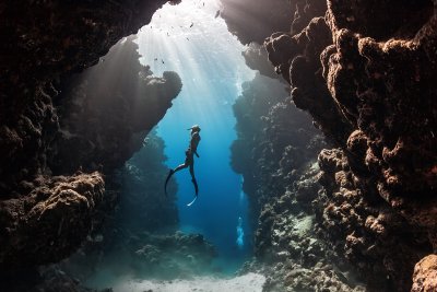 The Ultimate Koh Tao Freediving Guide: Best Spots & Schools