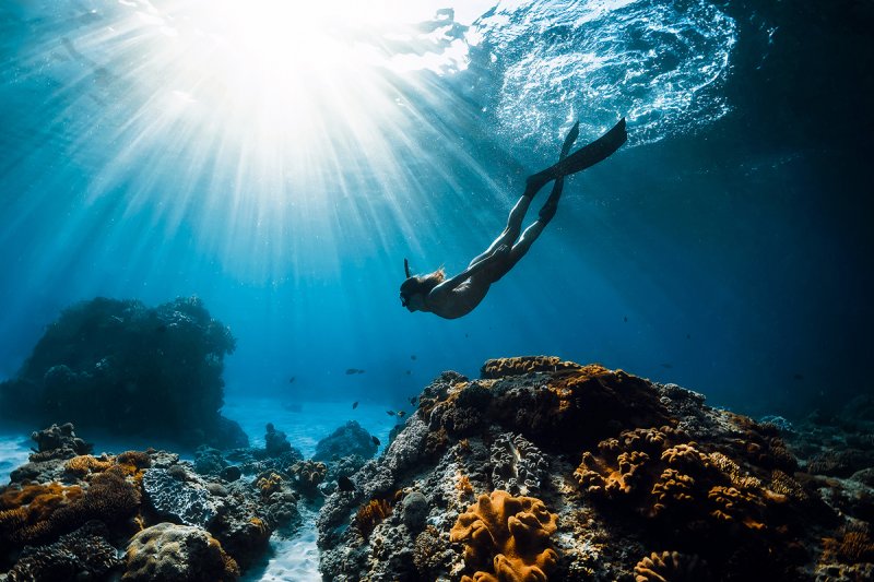 Shutterstock-Wonderful Nature