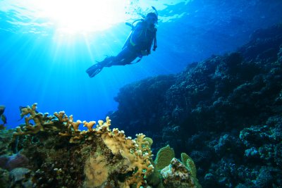 Diving Careers: Why I Became an Instructor but Do Not Teach