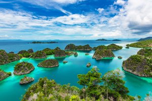 Mergulho autônomo em Raja Ampat - Um guia completo para os recifes mais selvagens da Indonésia