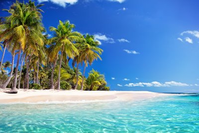 Diving Grand Cayman: Your Ultimate Guide to a Classic Caribbean Destination