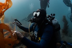 SSI x 地球边缘：改变儿童生活的卡特琳娜岛海上夏令营