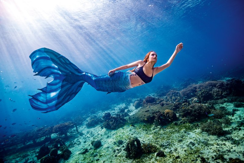 Mermaid swimming in a calm tropical bay with clear water and coral reefs around Koh Tao, Thailand