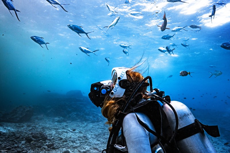 Diver with a full face mask watching a school of fish