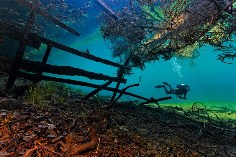 Diver exploring freshwater plants and fish in a clear inland lake