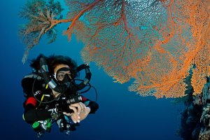 Technical Diving Skills: 9 Must-Haves for Tech Divers
