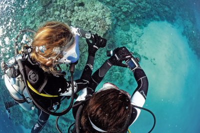 Why Every Diver Needs the NEW SSI Science of Diving Program