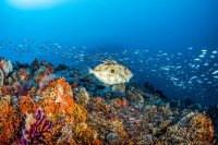 จอห์น ดอรี่